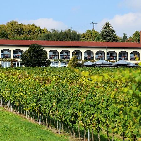Hotel Rebschule 伏里堡 外观 照片